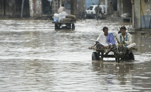 Lekri bez hranc - Pakistan